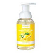 Wholesale - 8.75floz DEFENDR+ LEMON ANTIBACTERIAL FOAMING HAND SOAP C/P 12, UPC: 190430042029